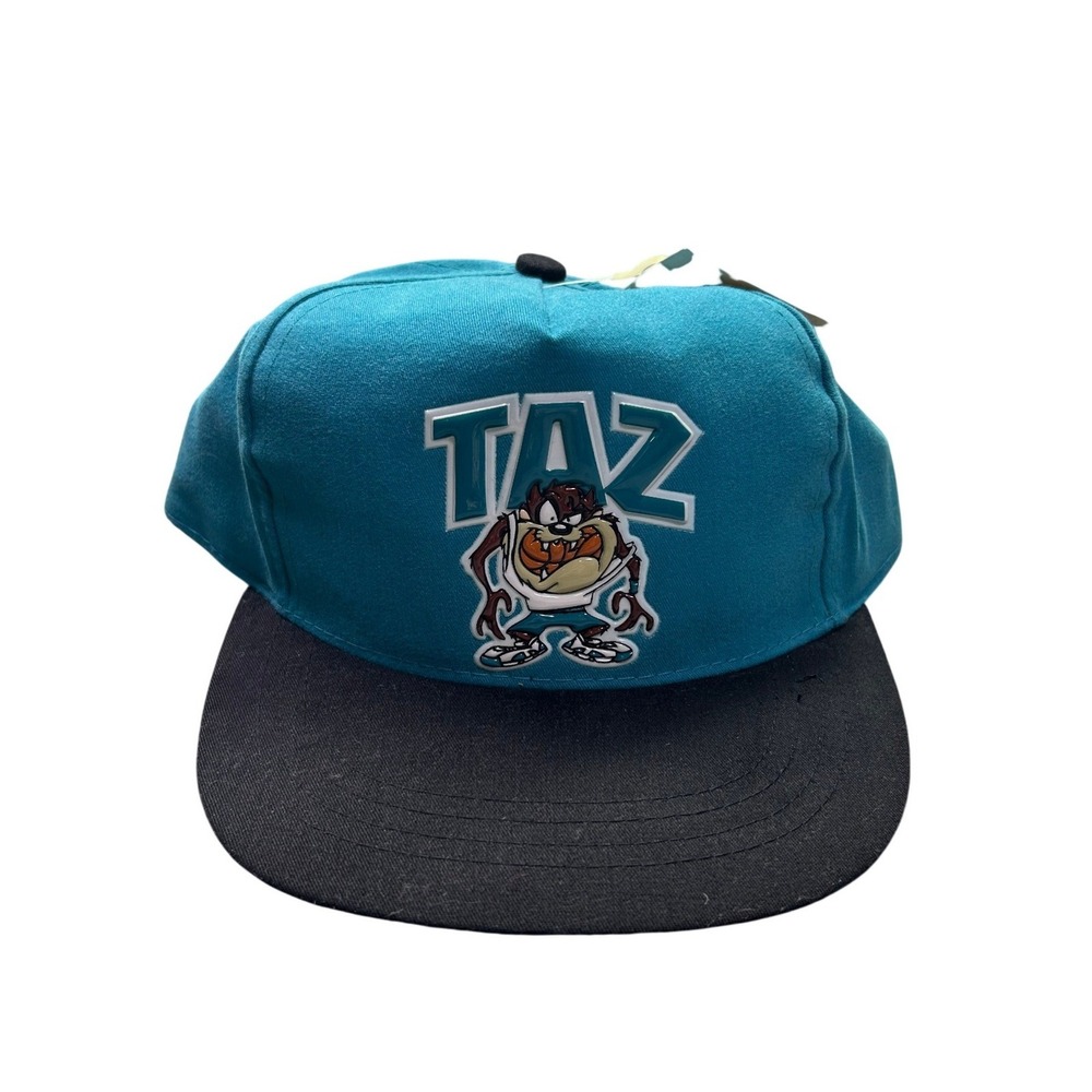 Vintage‎ Looney Tunes Taz Snapback Hat Teal Black Deadstock Warner Bros 90s